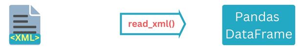 XML file to DataFrame by read_xml()