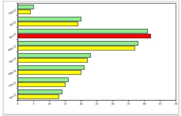 Horizontal bar graph in PDF file