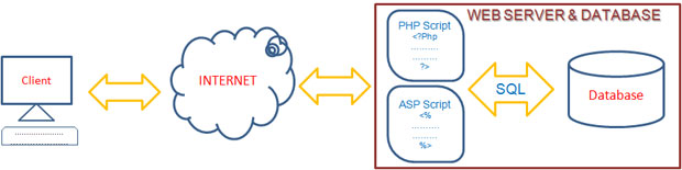 Scripts and SQL in Database